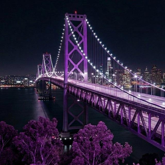 .𝑴 𝑩 𝑺 ـ