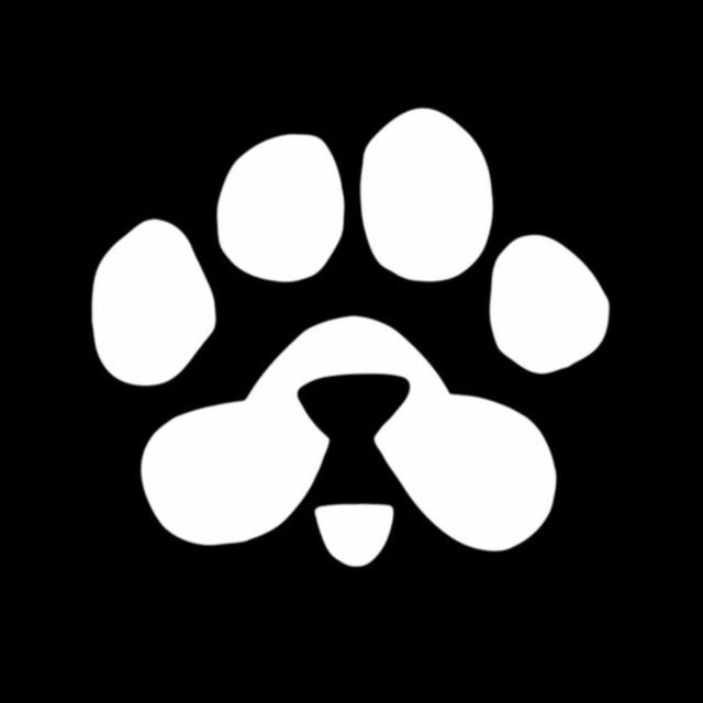 https t me pawsog bot paws startapp