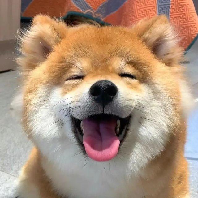 GV每日精选