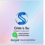 🇸🇬Singapore Jobs For Citi workers ,TEP, WP, SP and EP