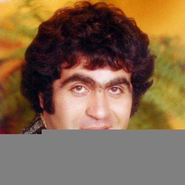 جمشید نجفی
