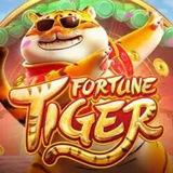 Fortune Tiger 1Win