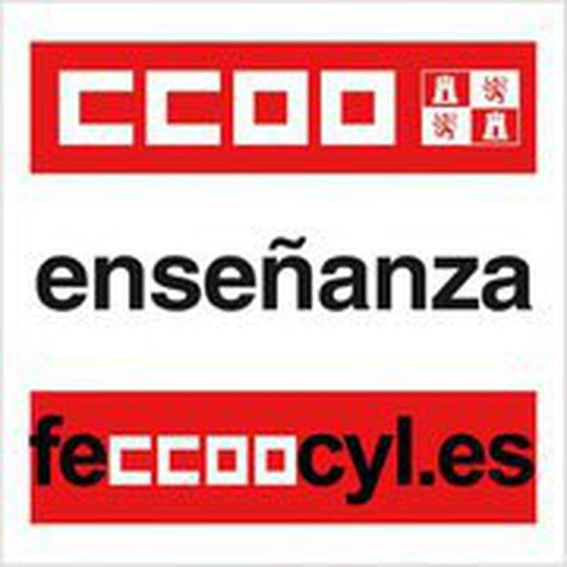 CCOO Enseñanza Castilla y León