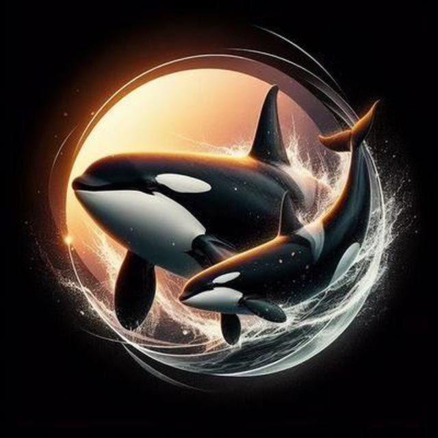 TRENCH WHALERS 100X CALLS