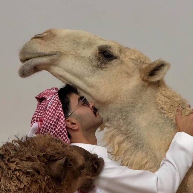 مَدِيـح .