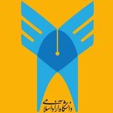 تحلیل استادان دانشگاه آزاد