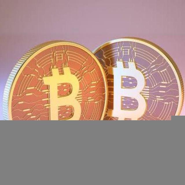 Crypto hunters team