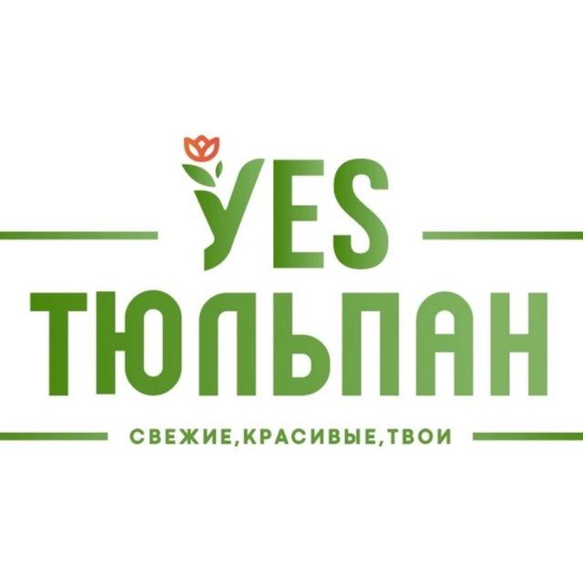 Тюльпаны оптом 🌷 Донецк ДНР | Yes Тюльпан