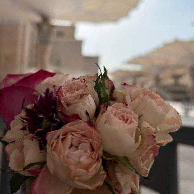 🥀الـخَــلِـيّٰـلَـــةٰ الـصَــالَِـحَـــةٰ