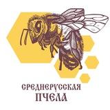 north_bee_life