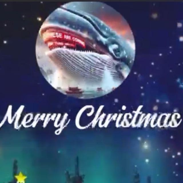 中国鲸鱼 鯨魚 ! CHINESE MERRY Christmas