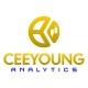 CEEYOUNG ANALYTICS 💸