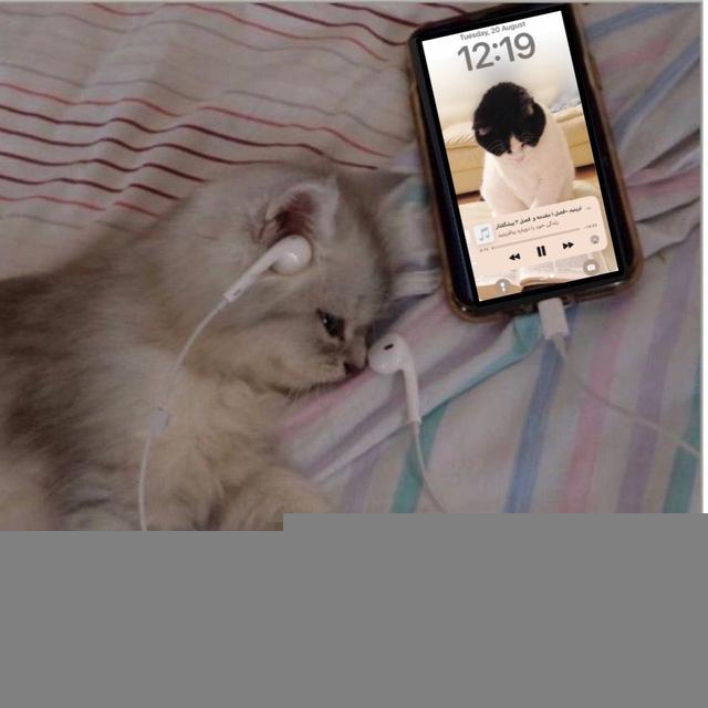 🎧کتابخانه صوتی ما🎧