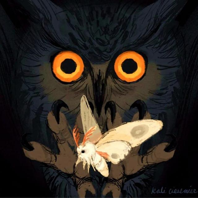 ᖴʟυꜰꜰʏ ʟiɢʜ𐐆 ʟ૦ᴠᴇʀ