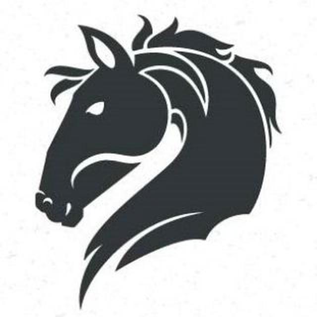 Financial Horse - Singapore Stock and REIT Investments 🐴