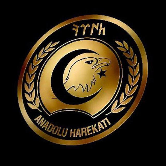Anadolu Harekâtı
