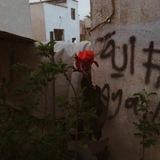 محطات