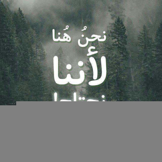 مُخبِتين! 🕊️