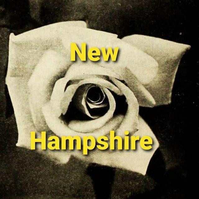 The White Rose New Hampshire