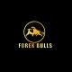 Forex Bulls Academy (Vidollar)