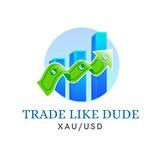 Trade Like Dude