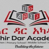 Bahir Dar Academy Primary School Channel