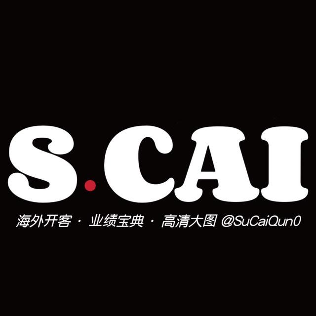 S.CAI素材库｜海外业绩宝典📝