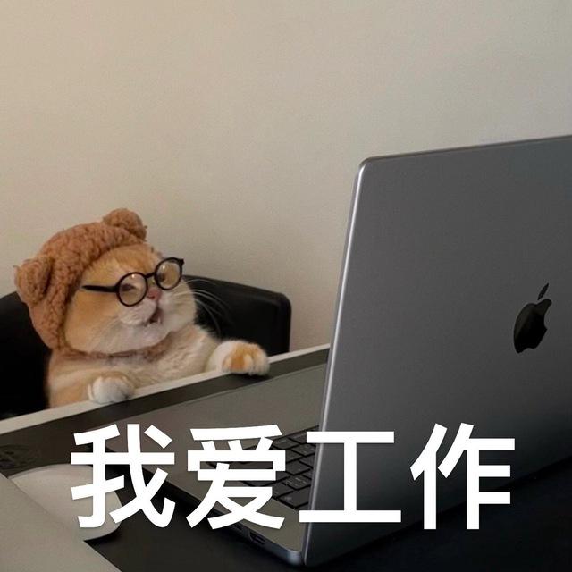 柬埔寨 菲律宾电脑/手机/销售