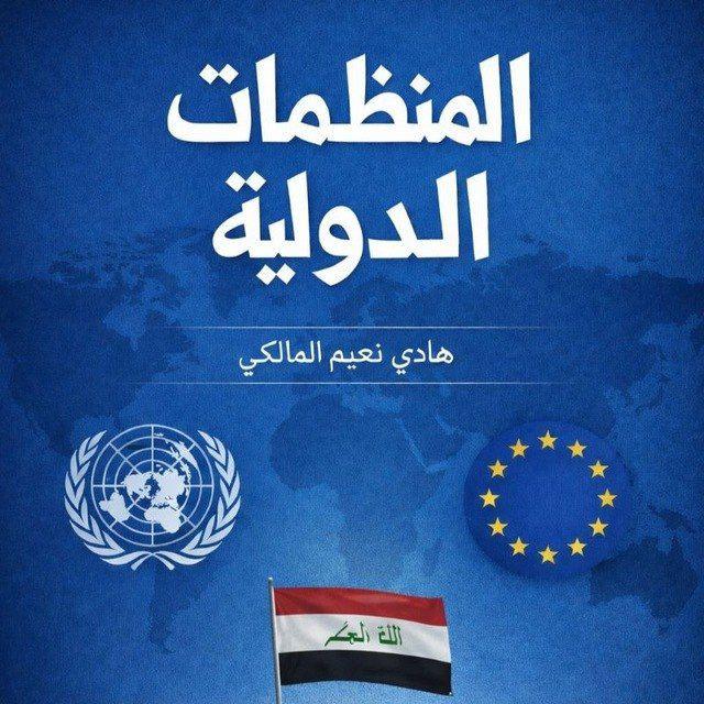 المنظمات الدولية