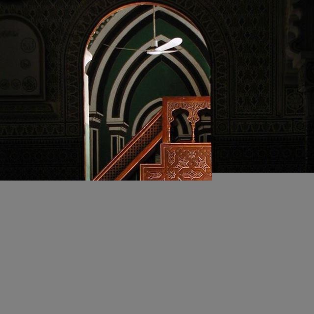 ﮼رحيق﮼الجنة 🌙🤍