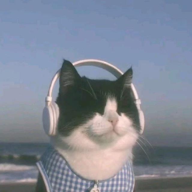 velvetdr3am