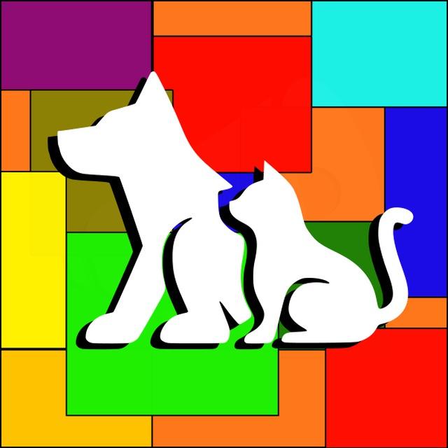 🐶🐱🐣Эталонный зоочат🐴🐫🐷