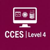 CCES | Level 4