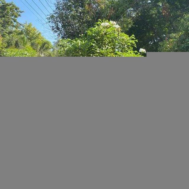 Country Home Make HD