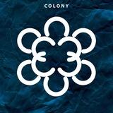 Hip Hop Colony🎤