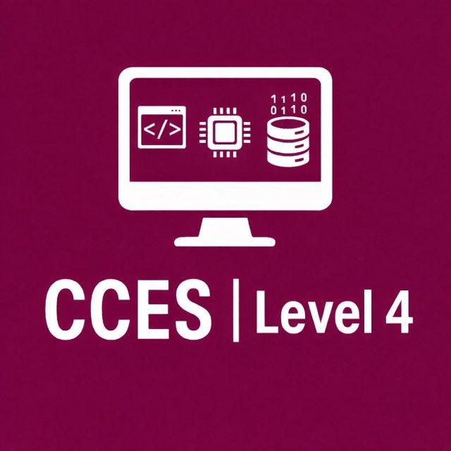 CCES | Level 4