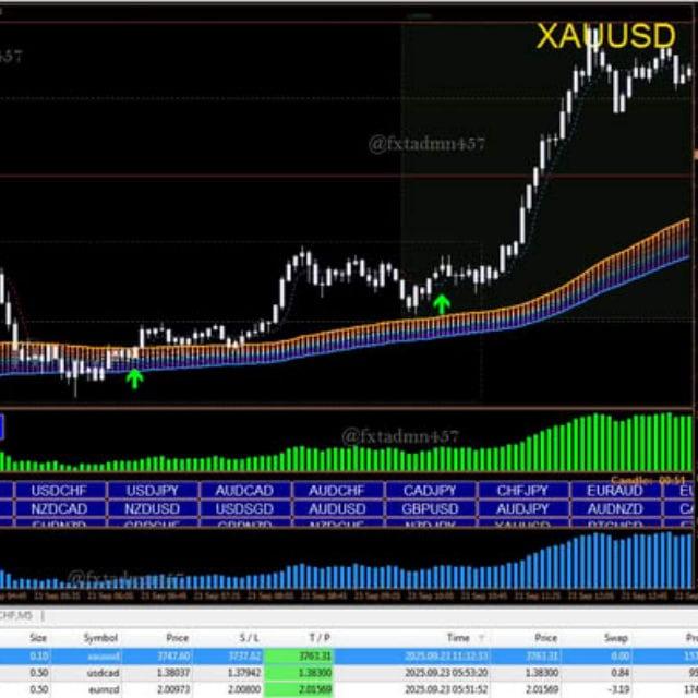 Trading Strategy