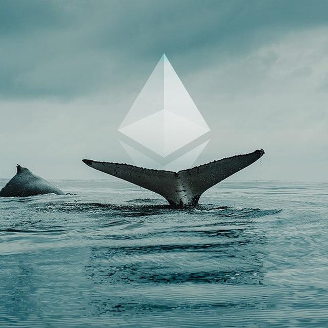 ETH WHALES 🐋