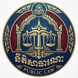 នីតិសាធារណៈ
