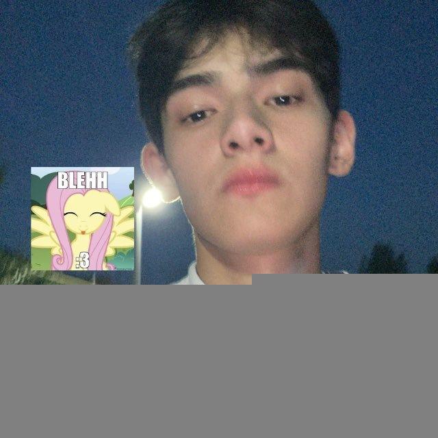 avez0v01