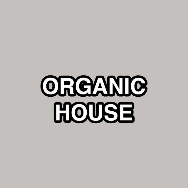 Top Organic House Music