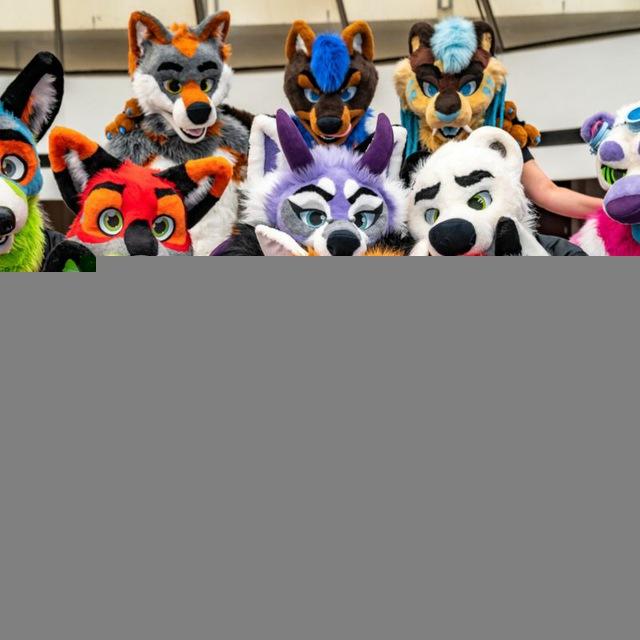 FurZombie Studios Talks