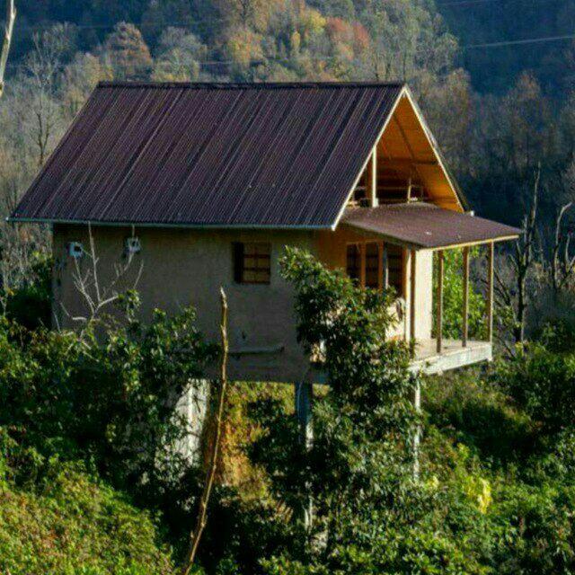 ڪــــــــلبه معیـــــــــــن