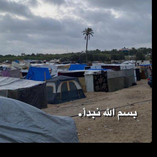 قصة نزوح 🇵🇸
