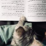 — هَاجَر مُصْطَفَىٰ إِسْمَاعِيل.