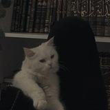 أجر لي أبي 🩷.