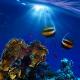 Living Ocean