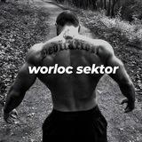 worloc sektor