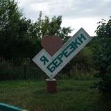 в березках любят