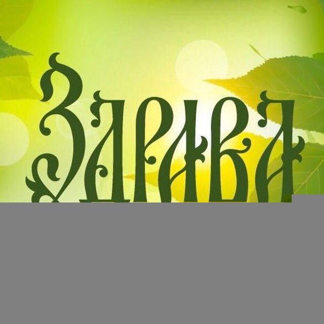 ЗДРАВА ЙОГА ТАНЦЫ ФИТНЕС ГЕЛЕНДЖИК🌿